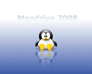 Mandriva_2008_BG_1280x1024_by_Dude67.jpg